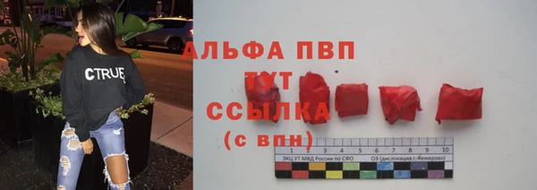 стаф Абинск