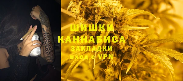 стаф Абинск