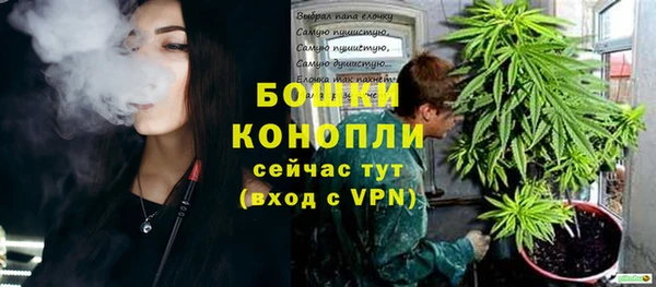 мяу мяу мука Абаза