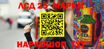 индика Ставрополь