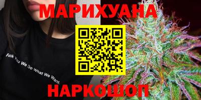 индика Ставрополь
