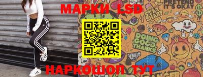 индика Ставрополь