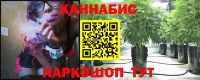 индика Ставрополь