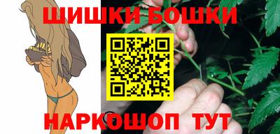 индика Ставрополь