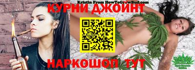 индика Ставрополь