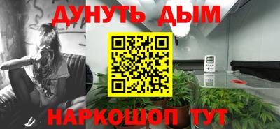 индика Ставрополь
