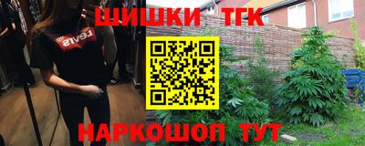 индика Ставрополь
