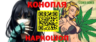 индика Ставрополь