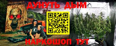 индика Ставрополь