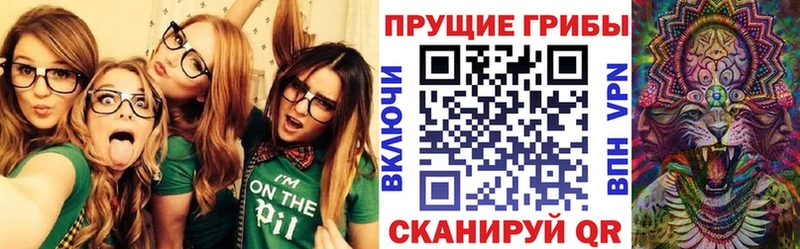 это клад  Сальск  Псилоцибиновые грибы мухоморы  что такое  
