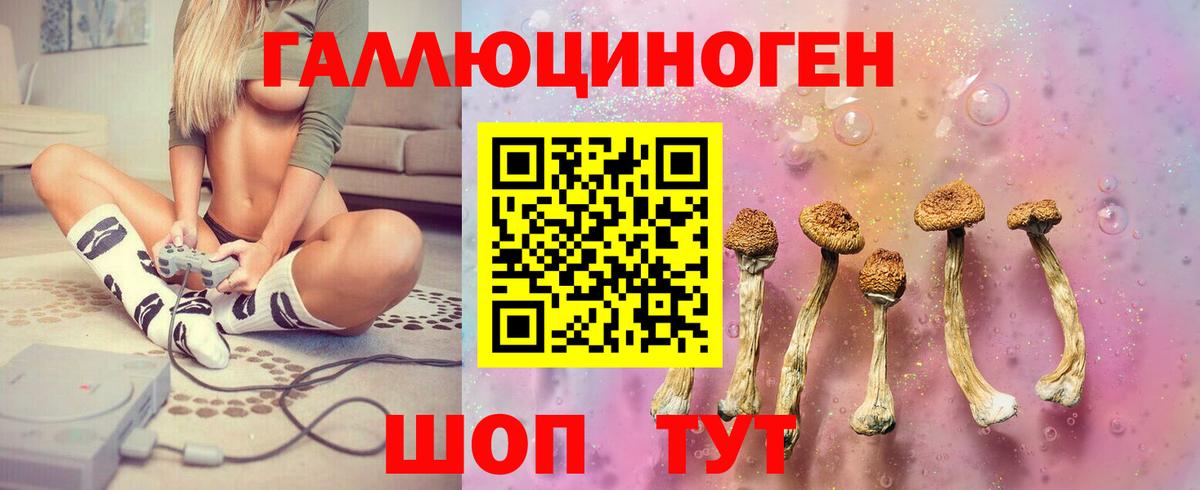 Сальск  Псилоцибиновые грибы GOLDEN TEACHER  Вход с VPN 